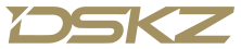 DSKZ Global Investment 